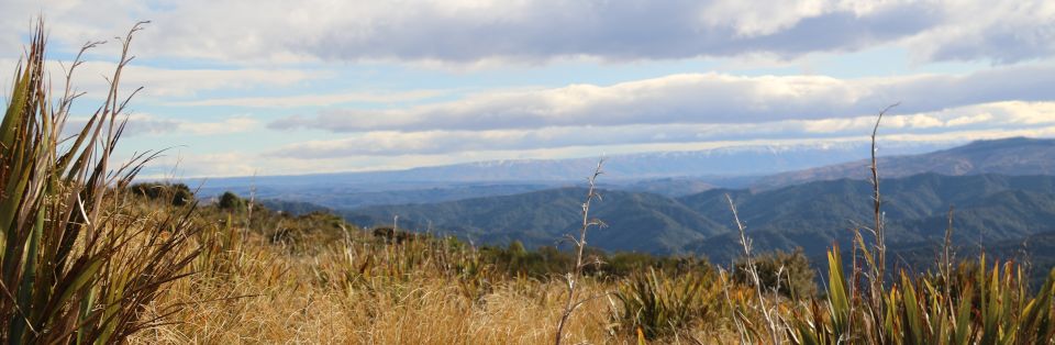 Ben Rudd Property, looking towards Rock & Pillar