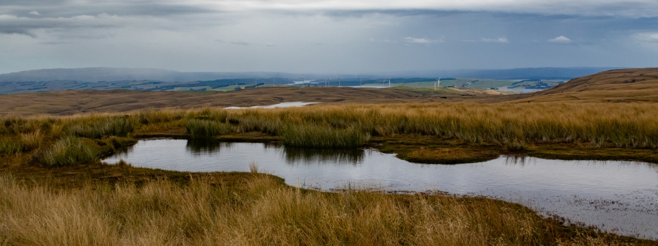 View from The Ship At Anchor